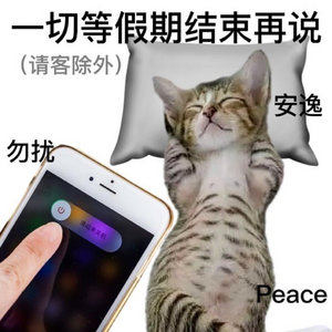 第一批堵车人堵成鸳鸯锅每年每次大节都知道要堵车，为什么还不调整休假模式？大家也可