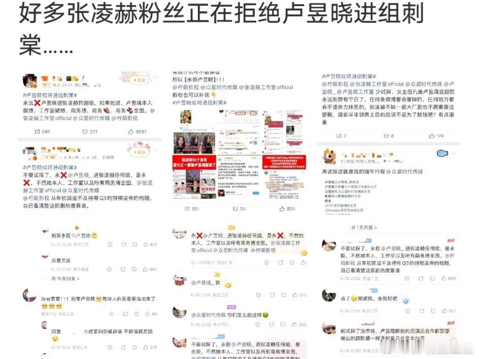 卢昱晓 刺棠 张凌赫粉丝为什么永拒卢昱晓演《刺棠》女主？他俩不是一个公司的一家人