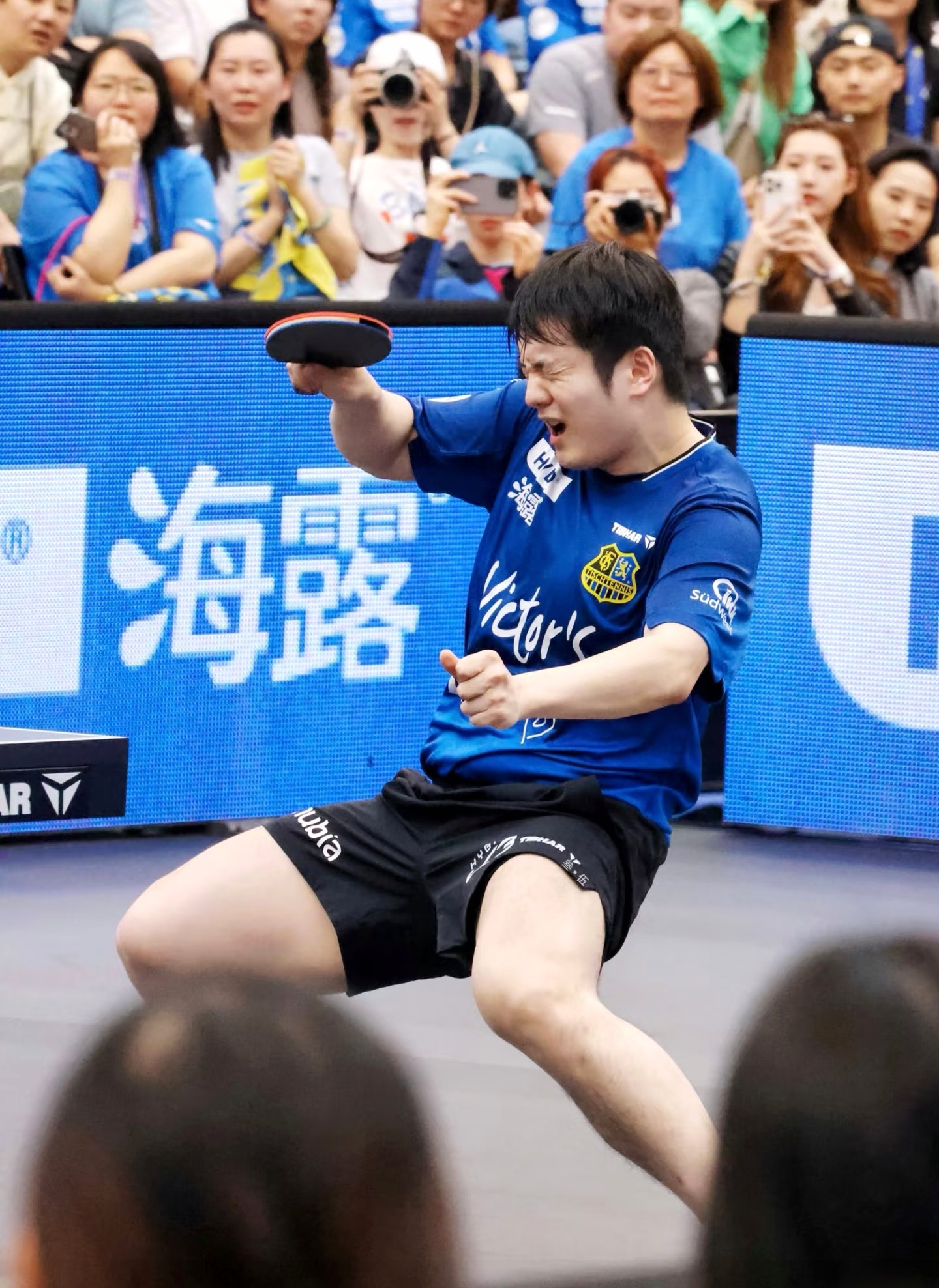 樊振东专访：渴望夺首冠  非常享受德甲氛围德国当地时间1月3日，国乒名将樊振东接