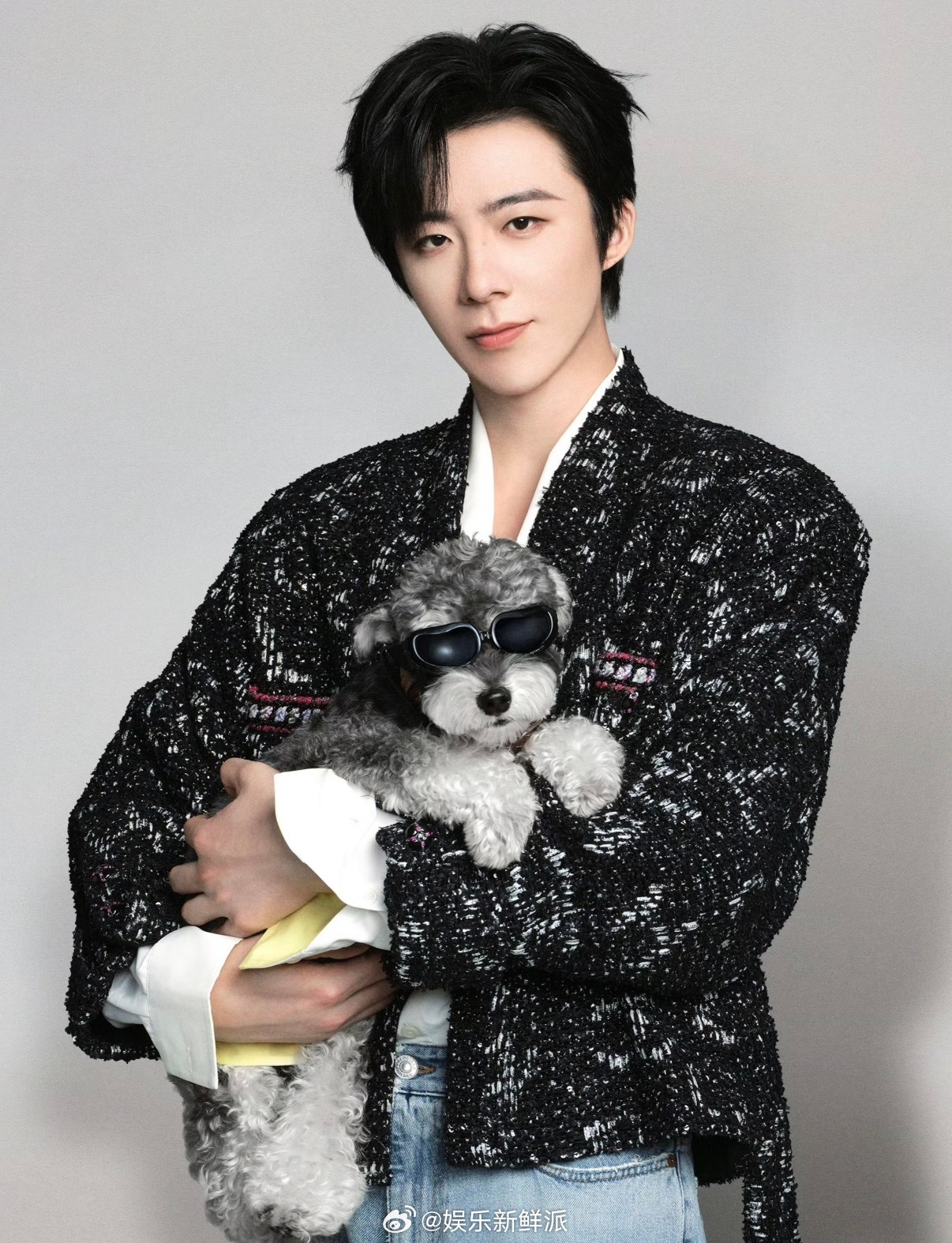 明星和毛孩子的同款脸大赏 救命！谁能拒绝和自己长得一模一样的毛孩子啊！各位明星和