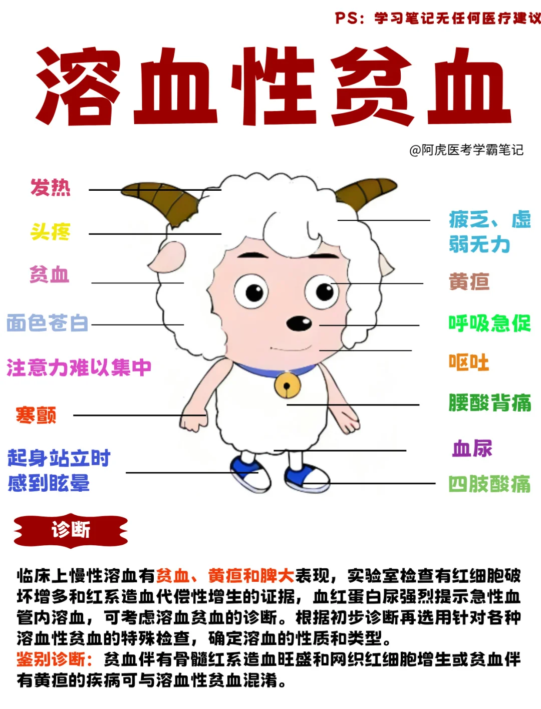医学生笔记📒｜溶血性贫血👆