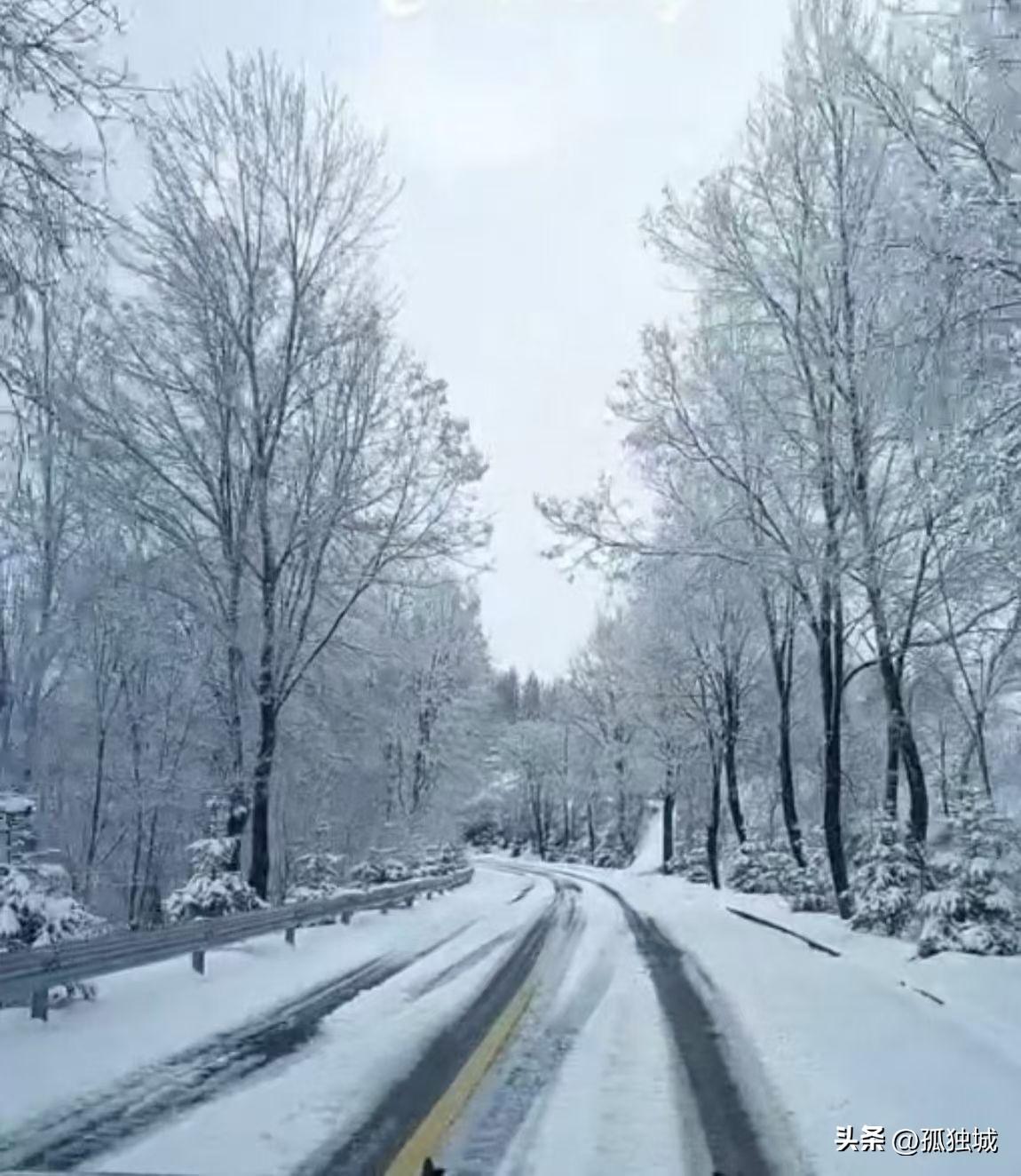 你有没有想过
如果再见到那个很久没见的人
你会说什么
如果命运真的仁慈
赐予我们