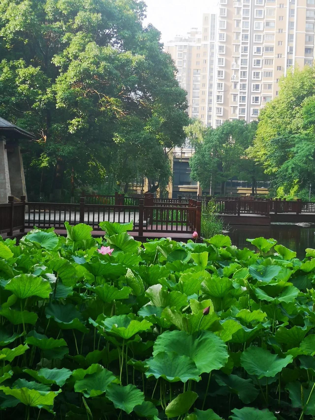 我发现：
人一定要有自己的小爱好，
比如有些女生爱看帅哥，买漂亮衣服，喜欢化妆，
