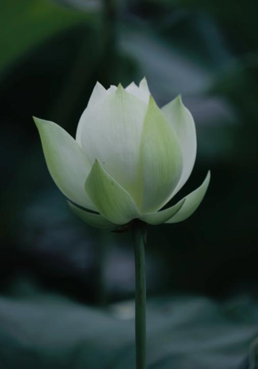 伊朗14点反击！特朗普被逼墙角
亲爱的朋友们大家好，我是海林小百科，今天我们来看