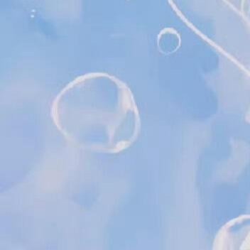 每日一善✨️阳光信用 ✨️每日一善 生命的温度，藏在点滴善行里。无需刻意雕琢，一