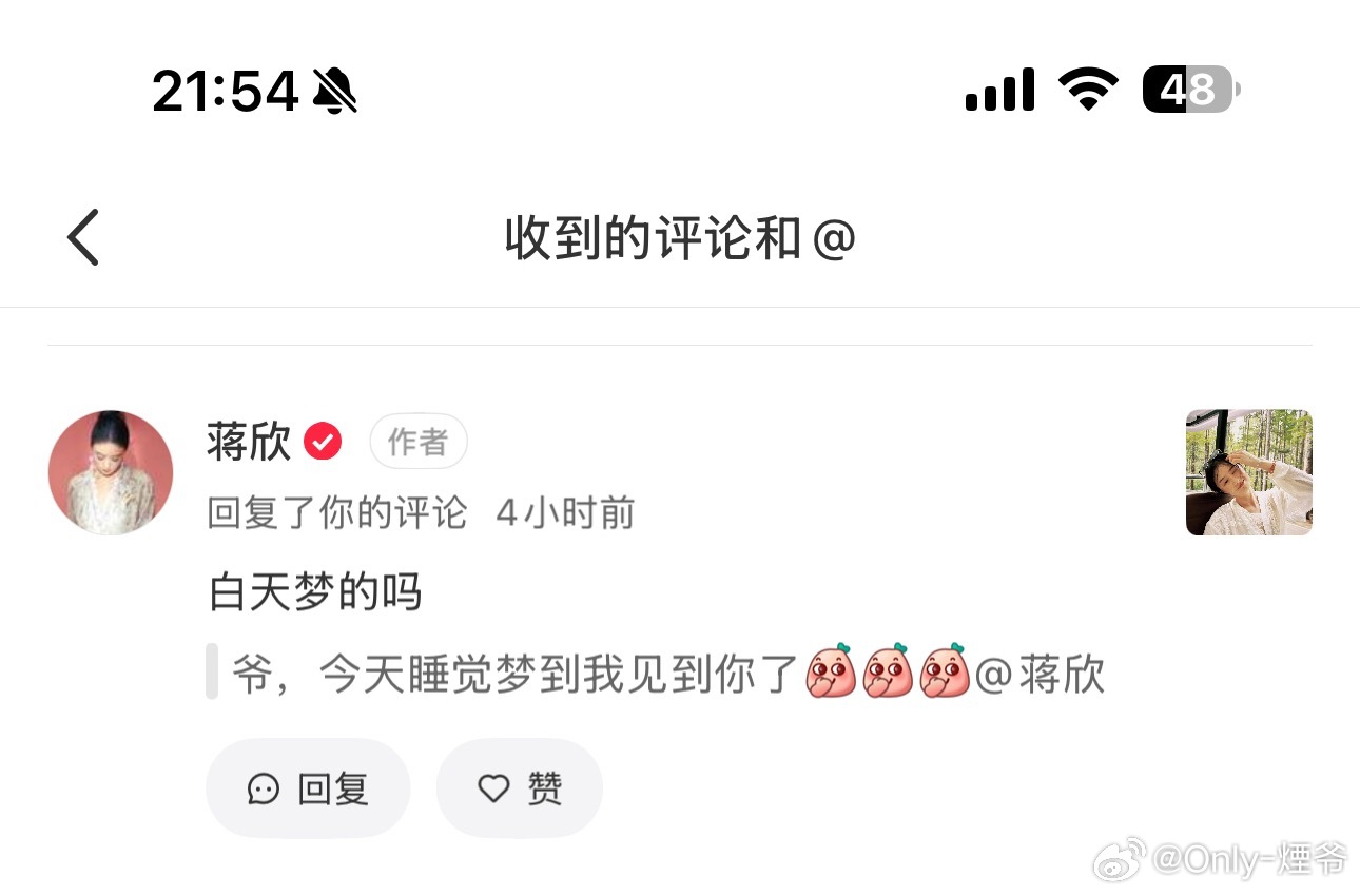 她说我做的是白日梦