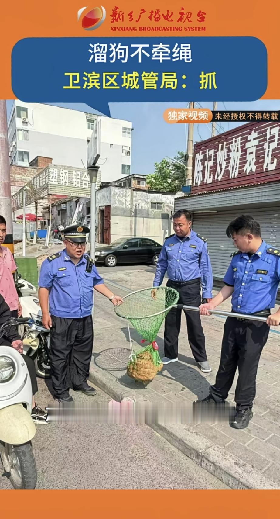 我家乡的城市管理部门，已经开始对市区内遛狗不拴绳的行为，开展整治行动了。
希望平