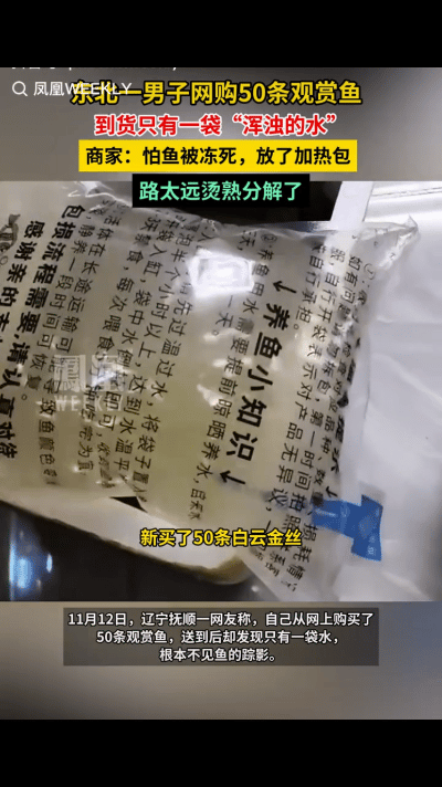 “离谱到家了！”辽宁抚顺，一男子在网上买了50条观赏鱼，可收到快递后却发现只有一