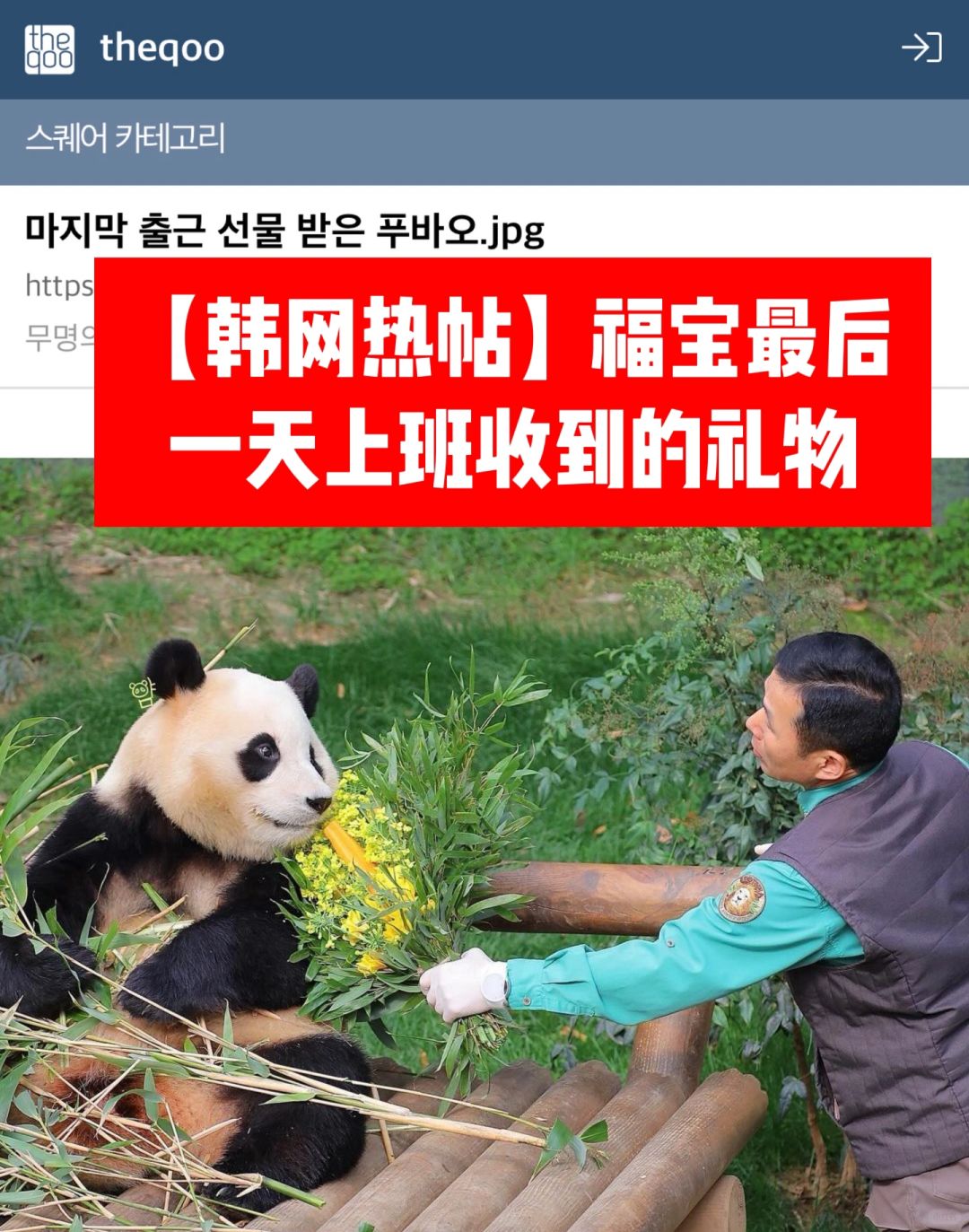 🔥韩网热议｜福宝最后一天上班收到的礼物💐