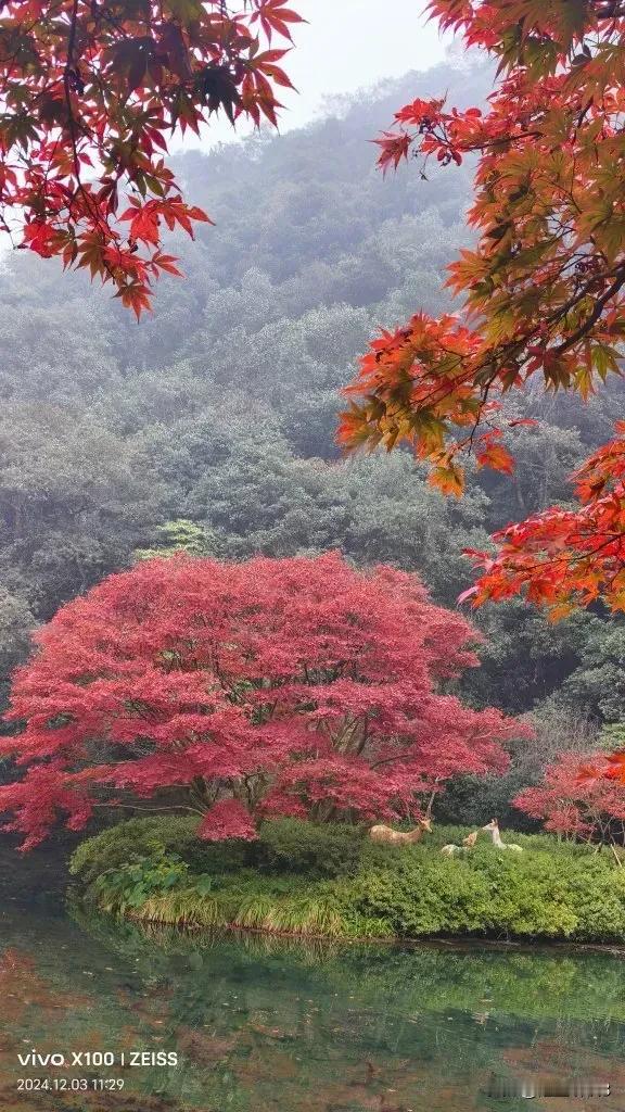 《晚秋山色，诗意栖居》
（原创首发）陋室听秋/文
 
在晚秋的怀抱里，我邂逅了一