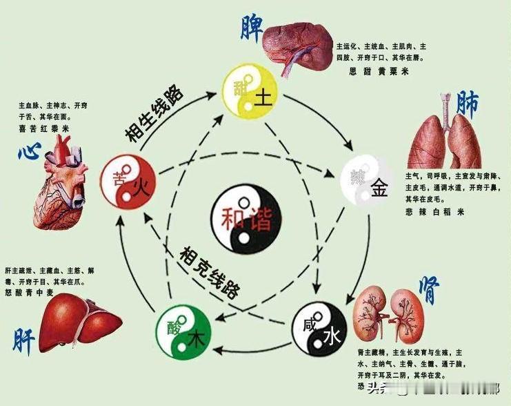 五脏的津液不足 身体这五个地方会“干涸”

1、肾津液不足——喉咙干
肾经巡行于