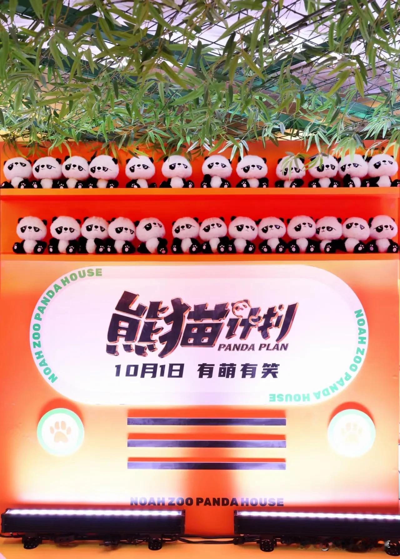 《熊猫计划》爆笑上映，国宝守护战一触即发！
电影《熊猫计划》终于上映啦！这部影片