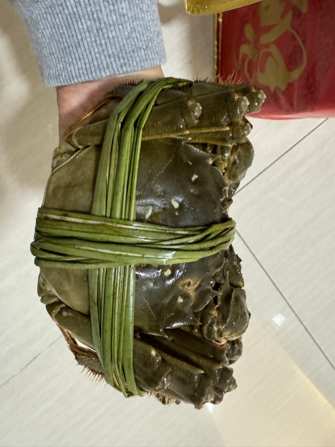 中午光顾着吃，一年一度的报恩螃蟹必须留念～ 