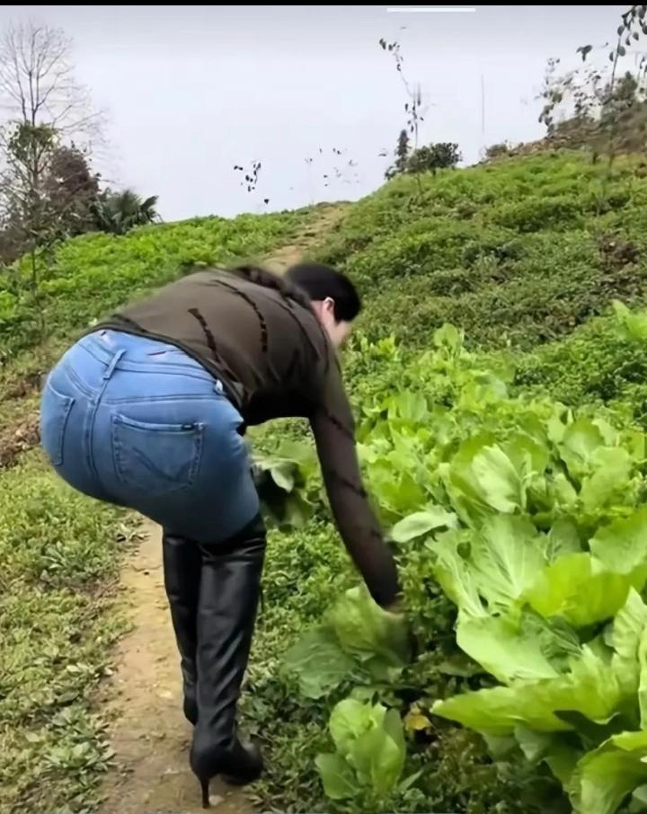 作为一名农村妇女，我不买车也不买房；肉贵，我就自己买小猪喂，过年杀猪吃肉；菜贵，