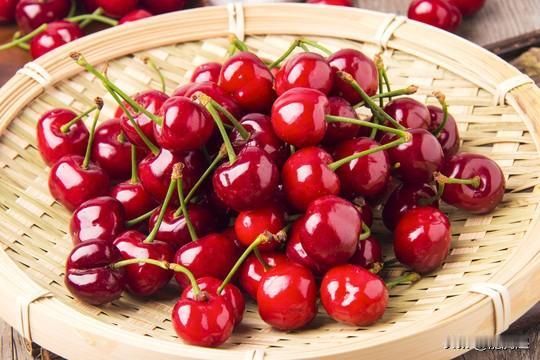 车厘子是欧洲甜樱桃，而樱桃是中国樱桃，两者同属蔷薇科樱属，但在以下5个方面存在区