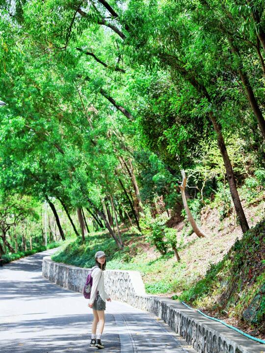比起白云山❗️我更喜欢番禺这个小众森系公园
