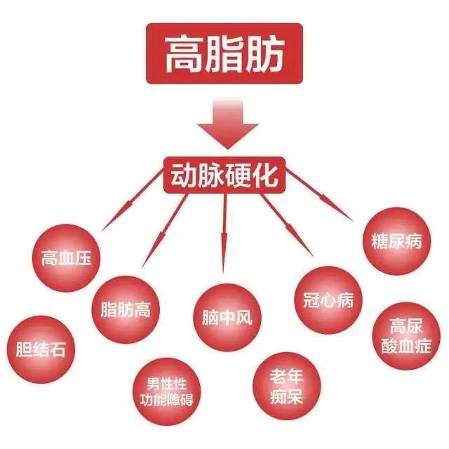 一个老中医用了55年的效方，专治高血脂【高血脂症】导读：作者用“轻身减负”形容此