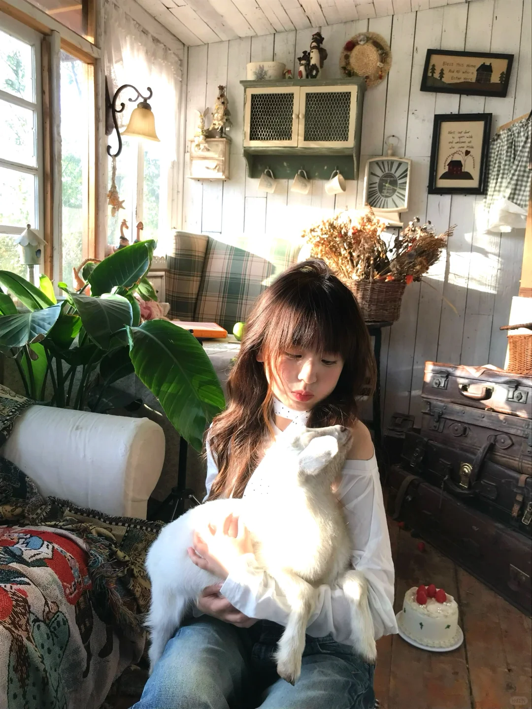 🥛午后(ˆ ̳ ,  ̫ , ̳ˆ)