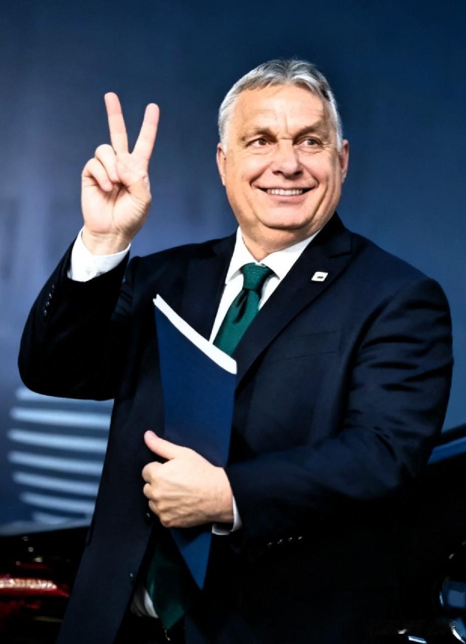 匈牙利硬刚欧盟！为了俄罗斯天然气，直接法庭见

欧尔班这次真的怒了！直接宣布，要