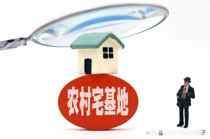 祖传的宅基地有着深厚的历史和文化价值。从历史角度看，它是家族繁衍的见证。在中国传