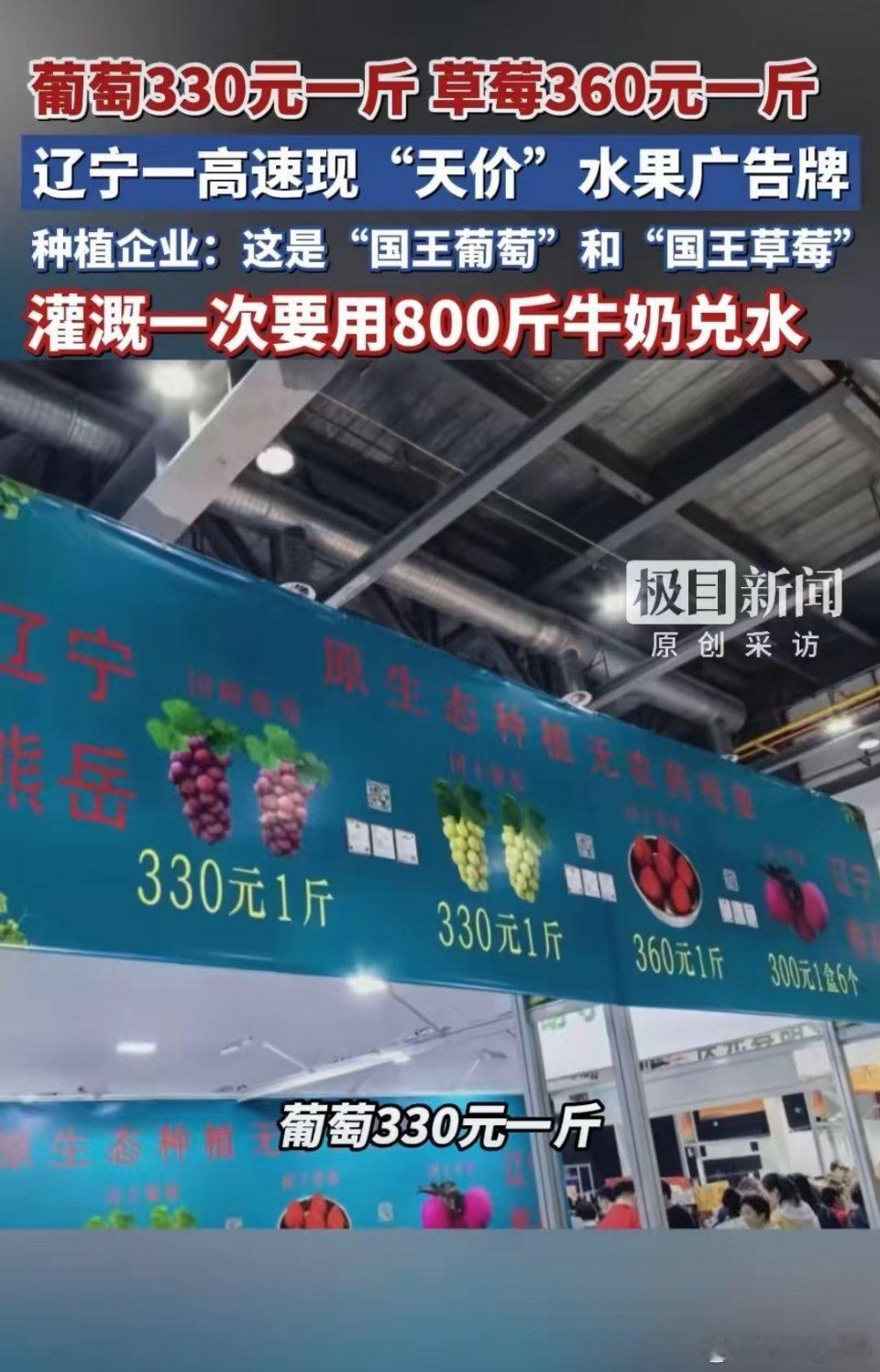 葡萄330草莓360元一斤网友惊呆 800斤牛奶兑多少水咋不说呢？？浓度高点就把