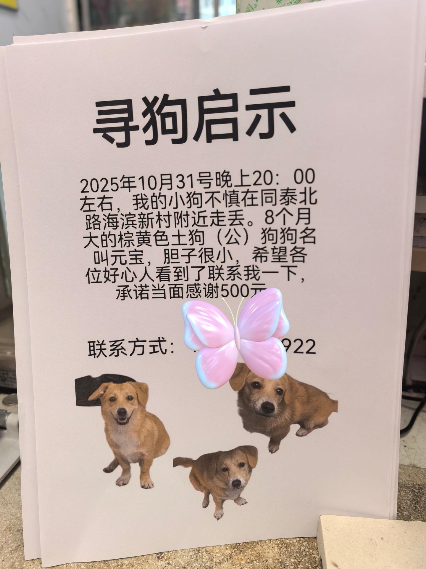 已经贴出去两天了，怎么还没有电话？