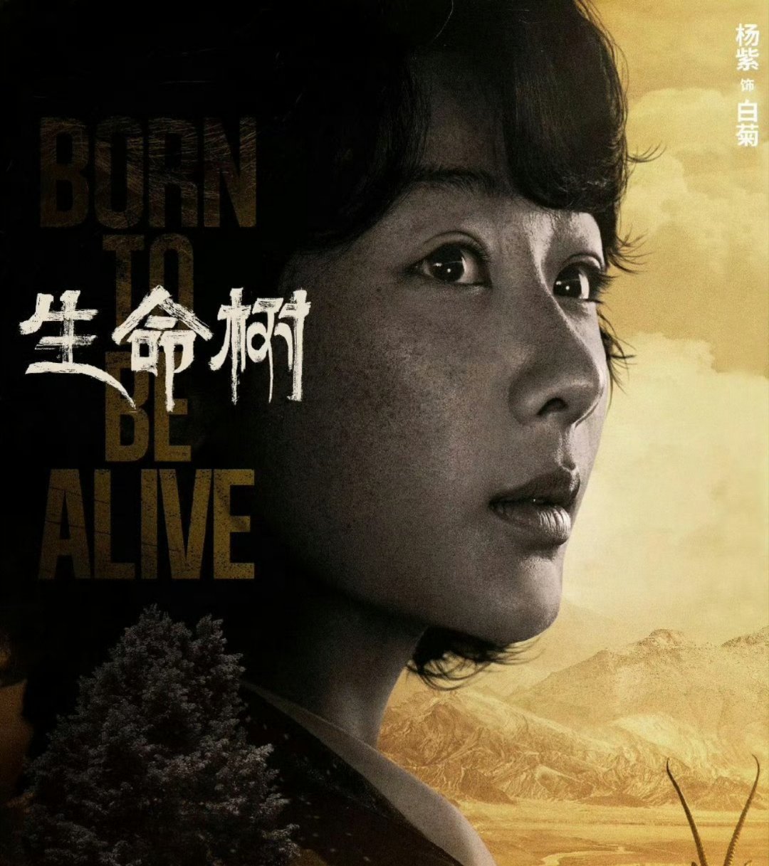 生命树杨紫的家成了打卡点真棒，杨紫带动了整个青海的旅游，包括可可西里，功德无量呀