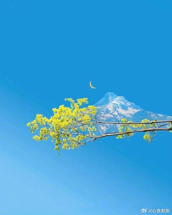 时间总是这样，夏盼秋凉，冬盼春暖，    给点苦头，给点甜头，在给点盼头 ​​​