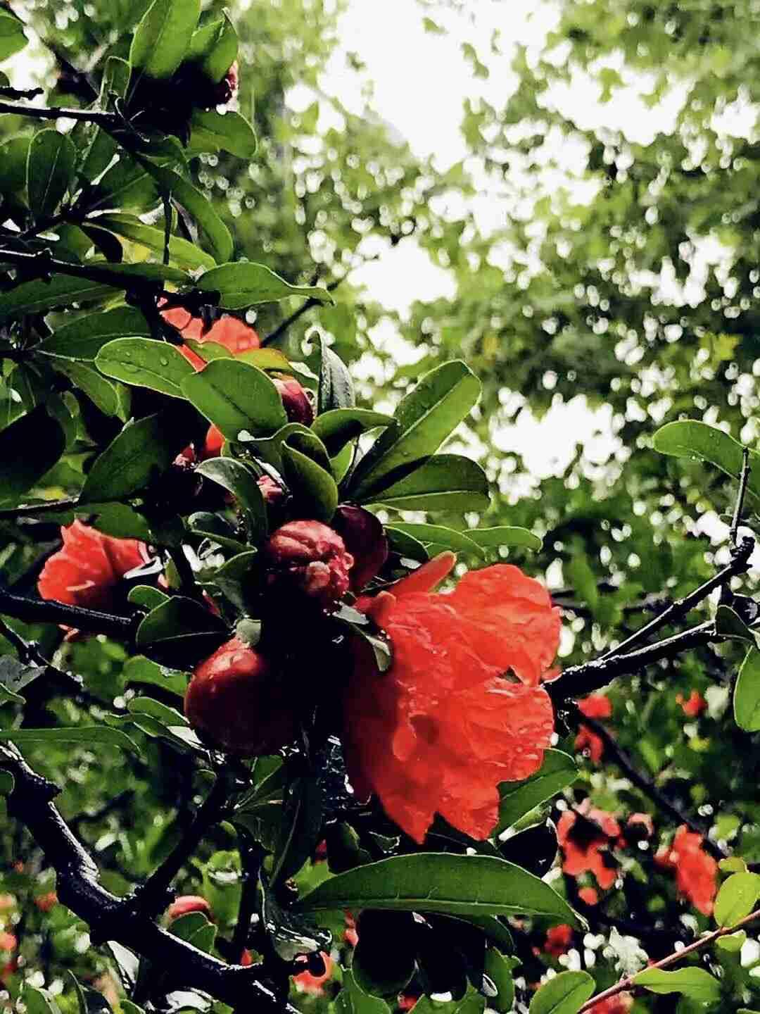 我的今日状态：😁轻松愉快
我这里的天气：☀️晴天