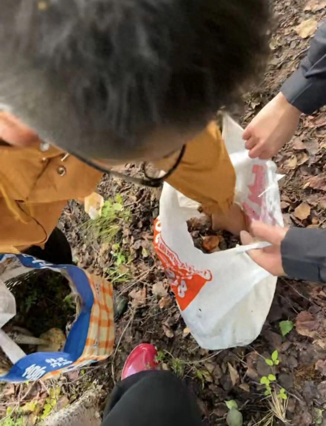 情侣到四川体验采菌子，采10余斤被本地小孩哥扔到只剩2斤，当事人：他丢的时候好潇