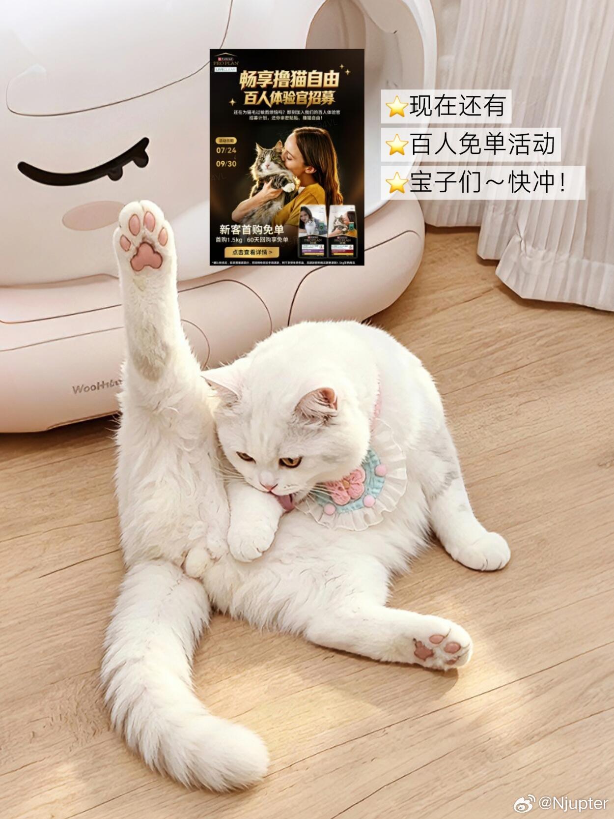 原来引发过敏的根本不是猫毛终于解开多年疑惑，一靠近猫就打喷嚏，罪魁祸首不是猫毛，