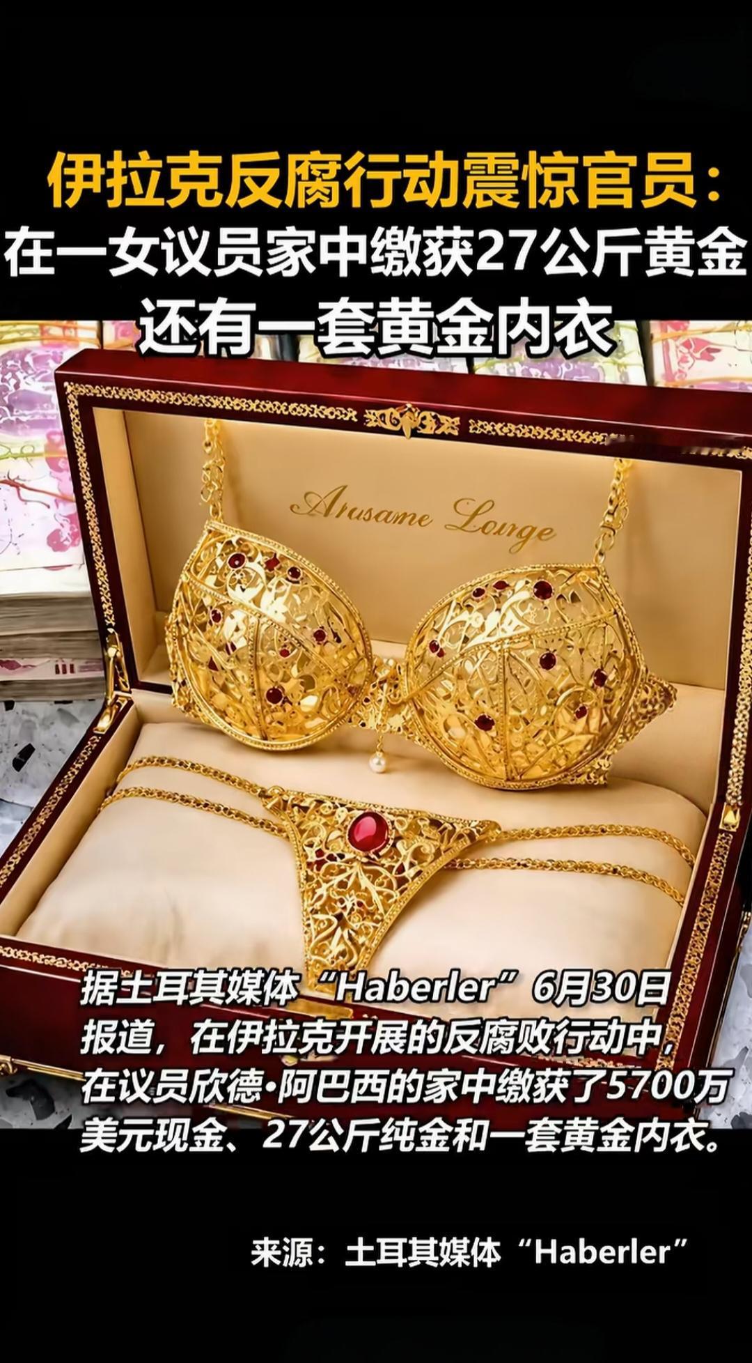 伊拉克女议员:
包着最保守的衣服，贪着最“性感耀眼的闷骚黄金镶钻内衣”。
看着捂