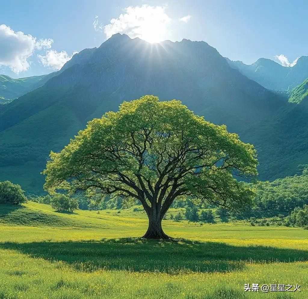 分享一张山景照片