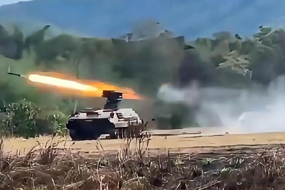 12月24日晚上的最新消息，速报 ，全都不容错过，第四条：泰方就投集束炸弹作出回