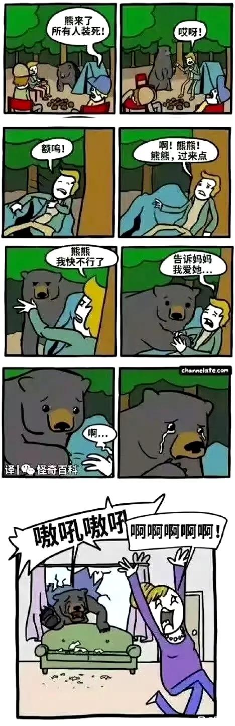 熊来了[呆无辜][呆无辜]