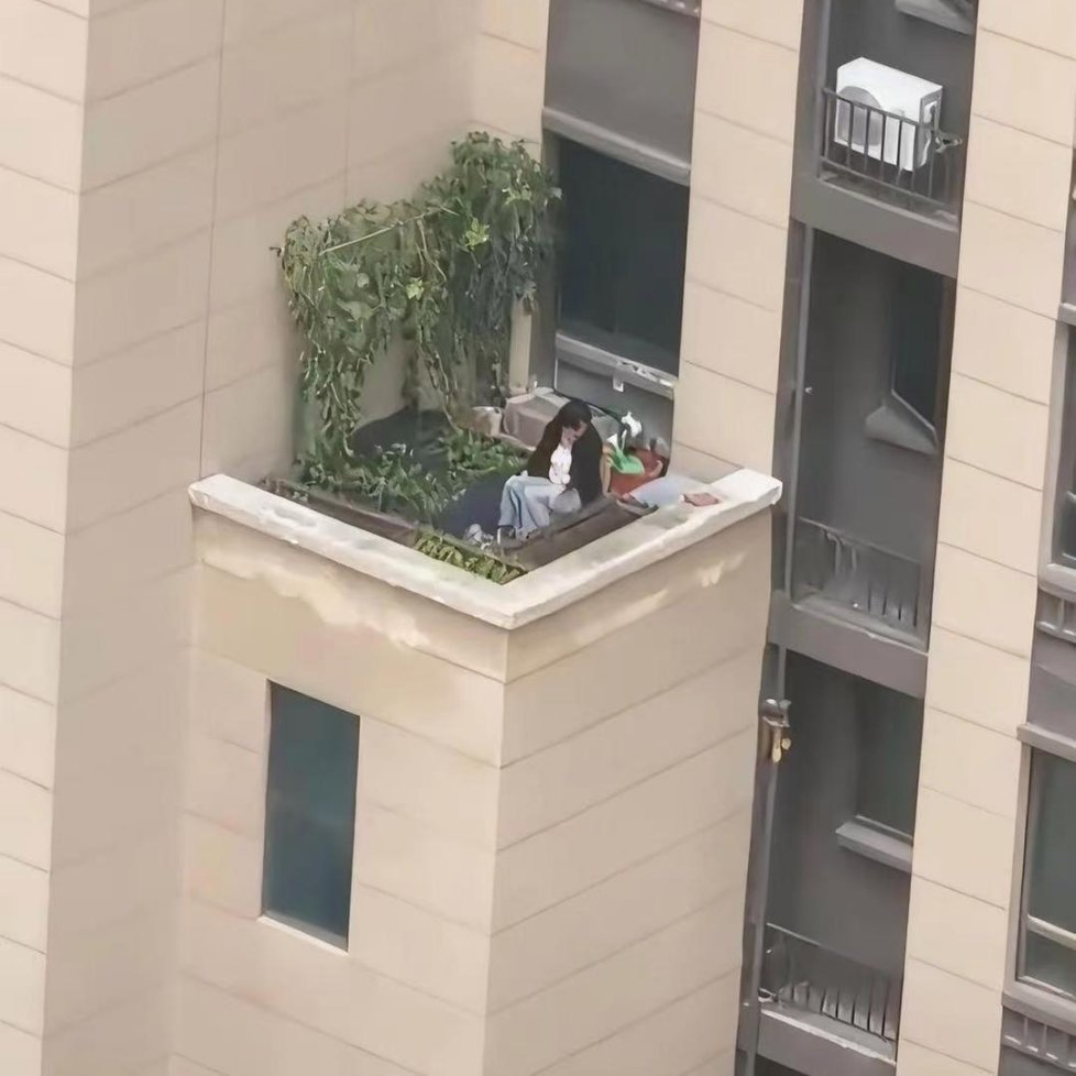 胆子真大 属于违建吗？ 