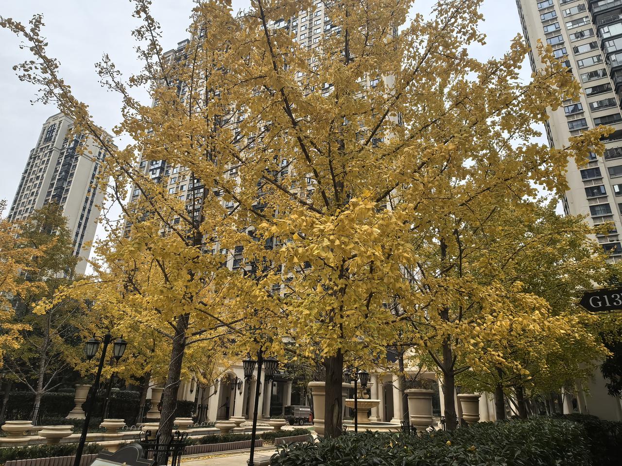 分享你喜欢的随拍冬天来了，春天还会远吗？忘记那无尽的烦恼吧，这一切都是人生必须要