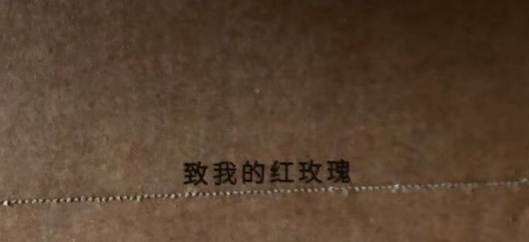 张峻豪：致我的红玫瑰 怎么会有人把粉丝比作红玫瑰啊， 也太浪漫了吧！不仅对音乐和