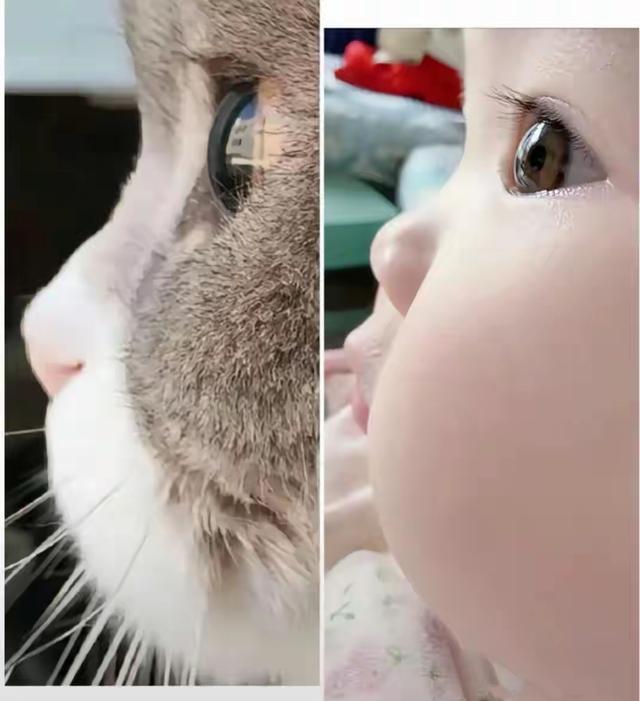 这么可爱的宝宝如果是我生的那就好咯[送心]我一定每天带宝宝去游乐场玩，带他去游泳