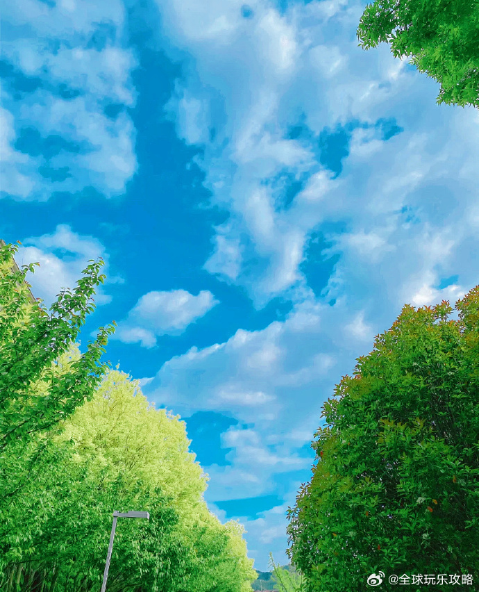 天很蓝，树很绿，夏天是一场远道而来的浪漫。 