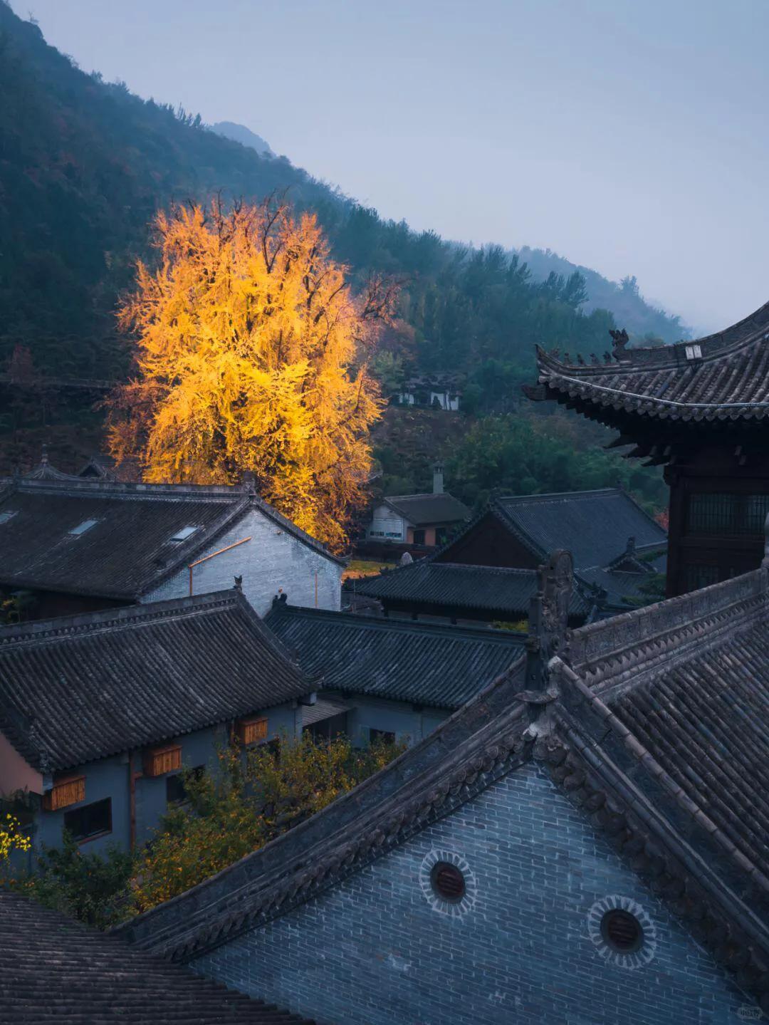 一年四季，你最喜欢哪个季节？
别的地方降温都是一点一点慢慢降
西安降温是一天直接