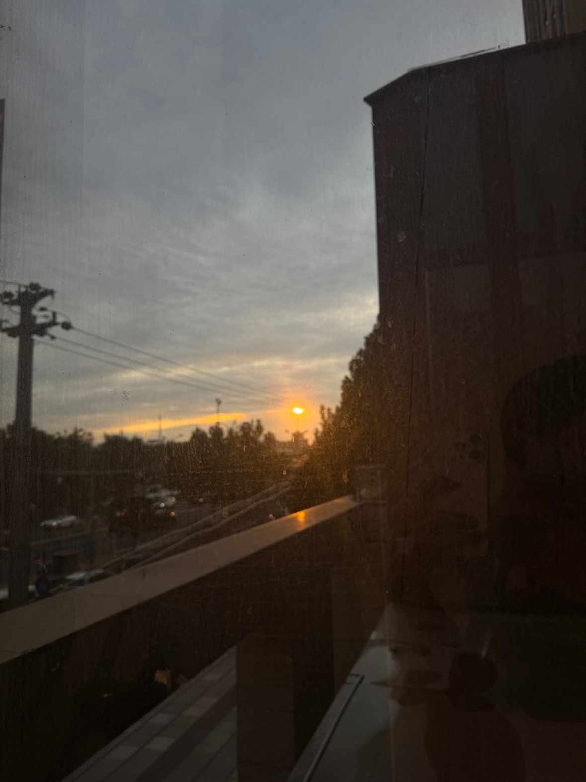 在不在不在 苏新皓高会更新🌇 ​​​
