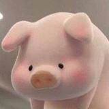 娇悦读读社会