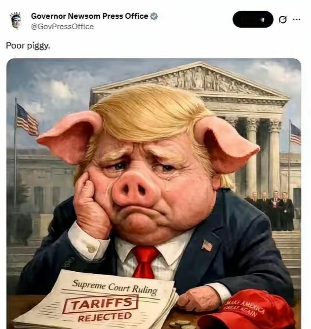 加州州长纽森把特朗普ps成一头小猪，看着挺可爱的，这个猪的脸型和头型特别适合特朗