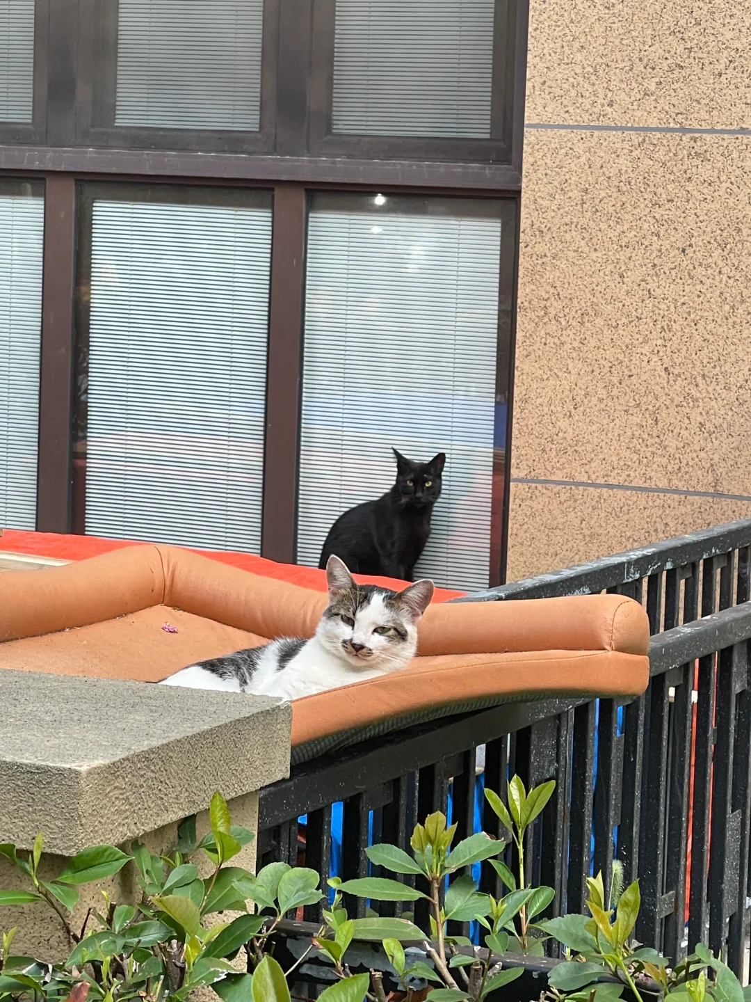 看什么看！！！
