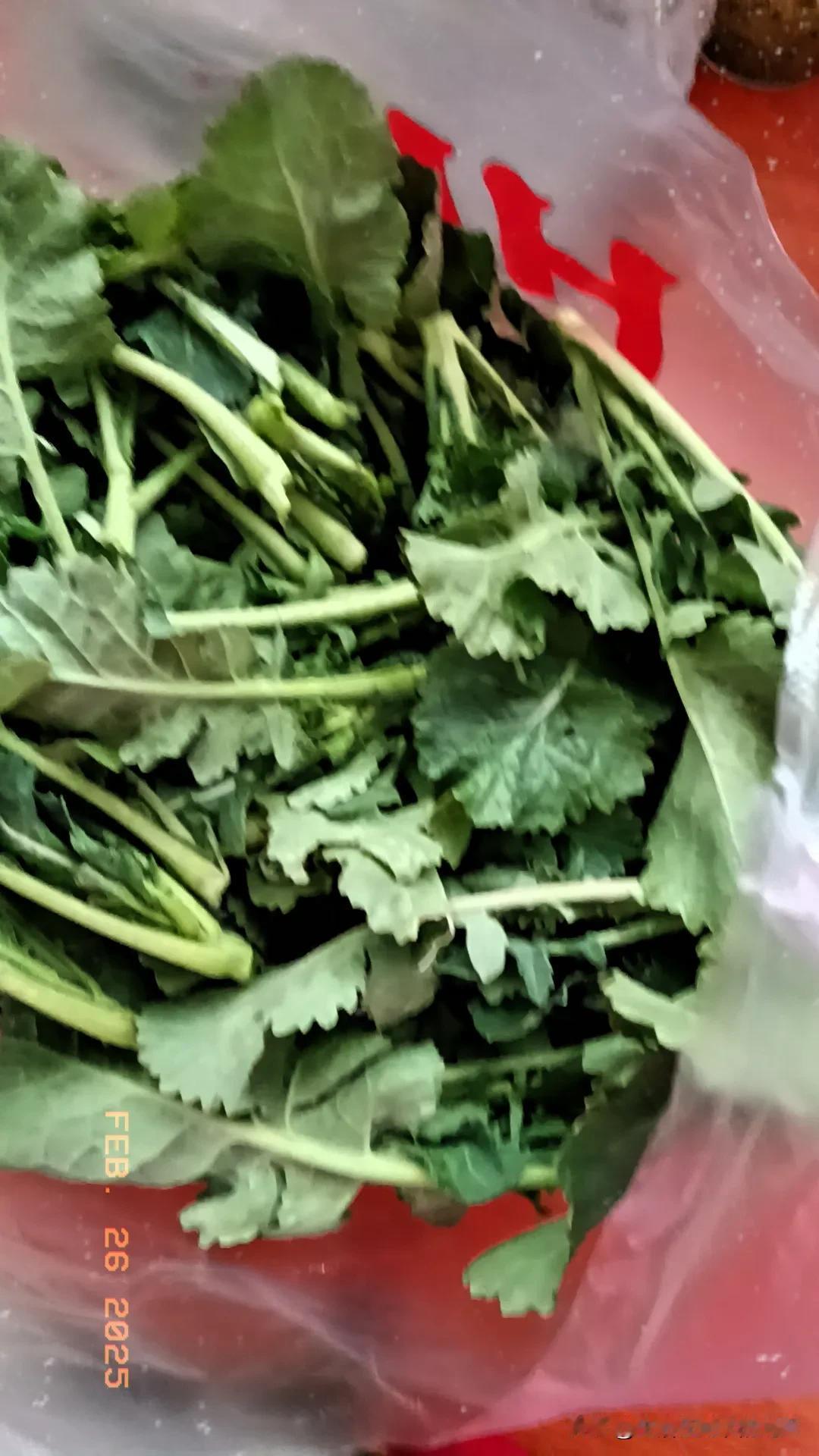 单位打扫卫生大姐跟我说，院子外面田里的油菜喜欢吃的话可以去掐来吃。我有点吃惊，油