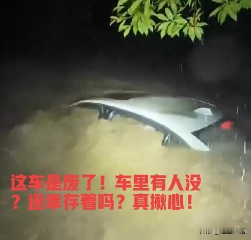 极端天气带来的灾害，惨不忍睹！

近日，南方多地因极端降雨天气，引发洪水，很多网
