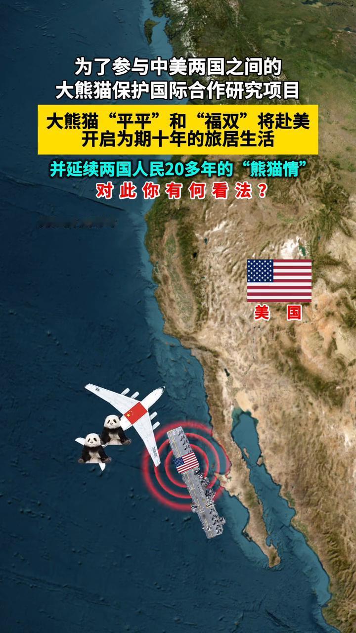 为了参与中美两国之间的大熊猫保护国际合作研究项目，大熊猫"平平"和"福双"将赴美