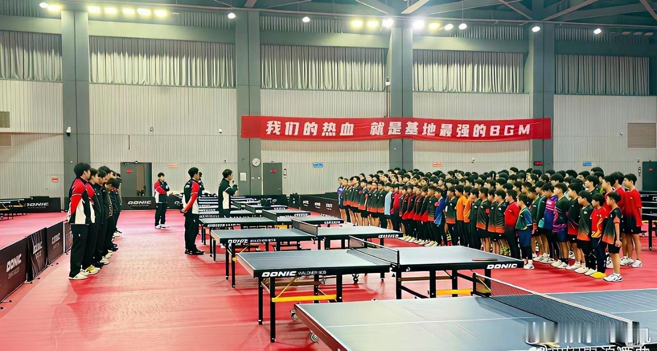 厉害了！张继科这团队越来越强了！居然有三个国家级健将，7个国家一级运动员！去年张