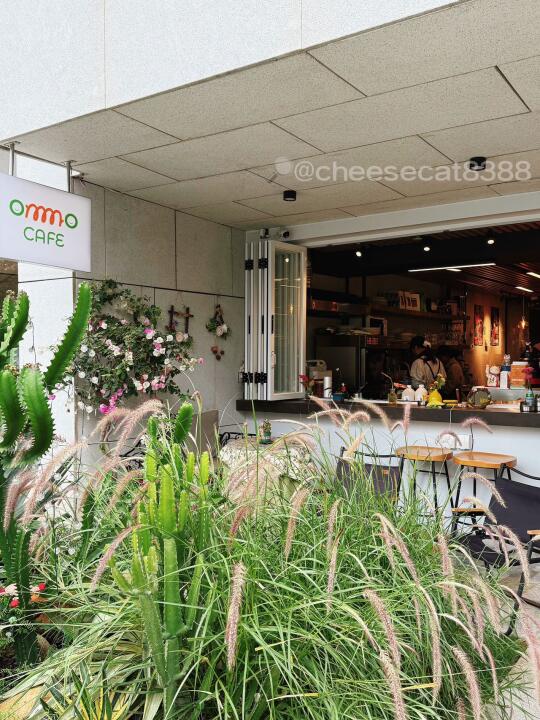 ommo cafe | 蛇口半岛超chill咖啡馆🌊